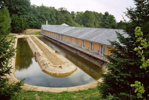 Motel Дачице Экстерьер фото